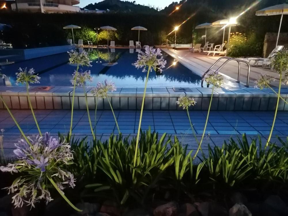 Residence Le Palme Grottammare Dış mekan fotoğraf